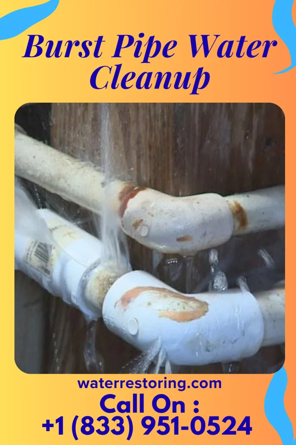 Burst Pipe Water Cleanup in Fredericktown, OH