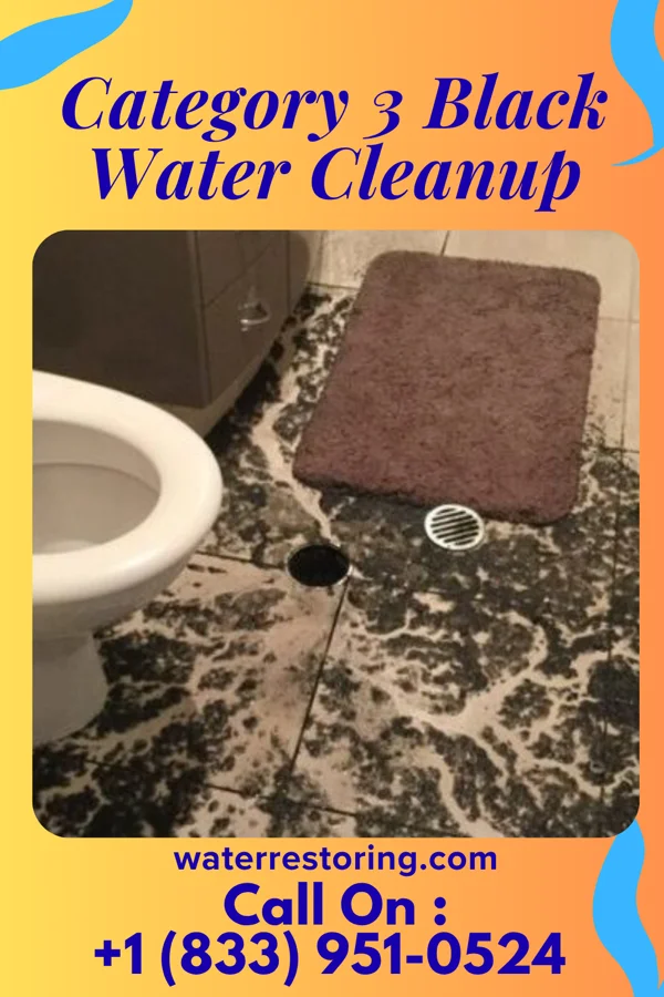 Category 3 Black Water Cleanup in Fredericktown, OH