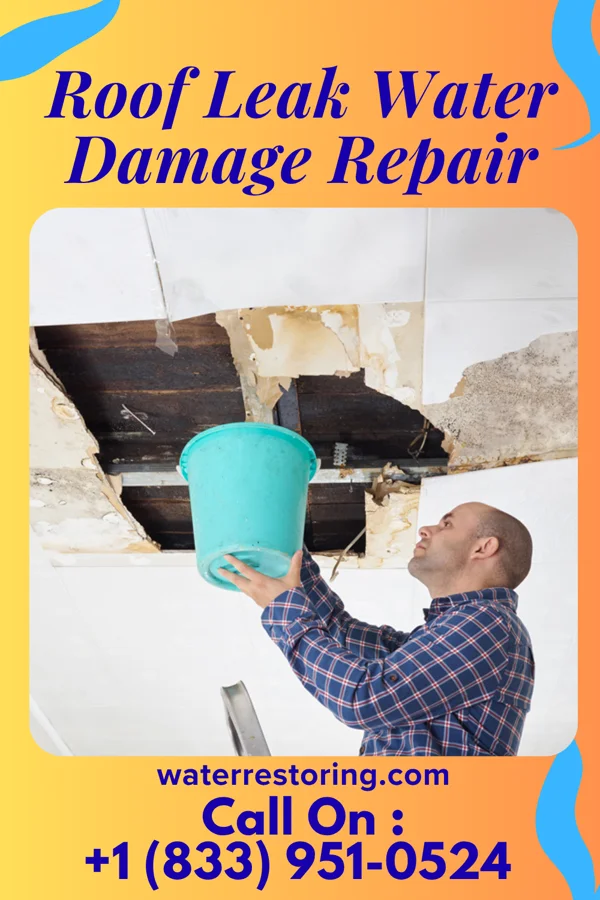 Roof Leak Water Damage Repair in Fredericktown, OH