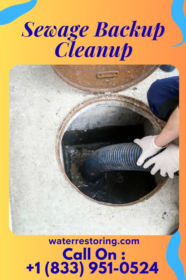 Sewage Backup Cleanup in Fredericktown, OH